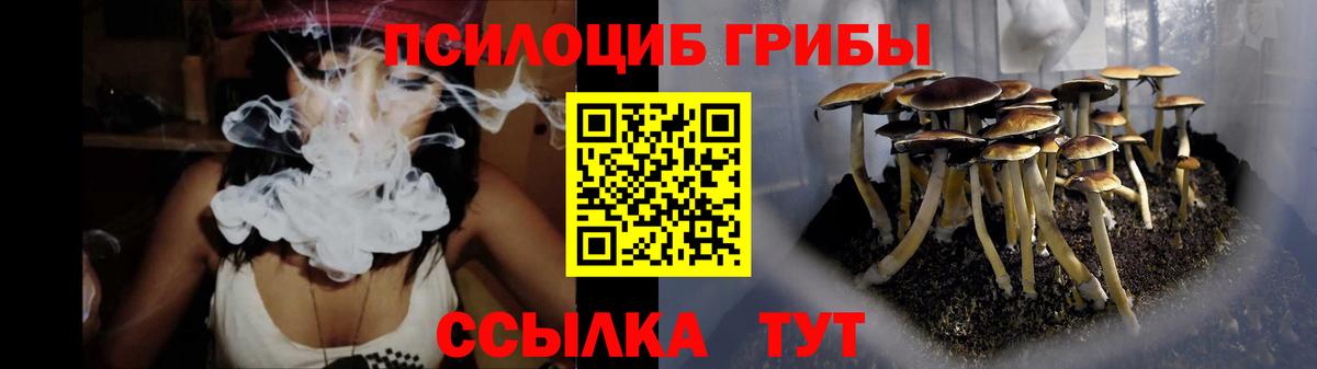 Галлюциногенные грибы Psilocybine cubensis Мелеуз